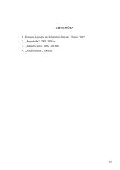 Privatizavimo eigos analizavimas: AB "Lietuvos avialinijos" 20 puslapis