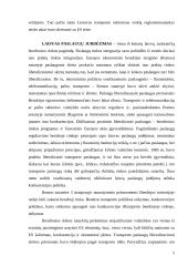 Privatizavimo eigos analizavimas: AB "Lietuvos avialinijos" 3 puslapis