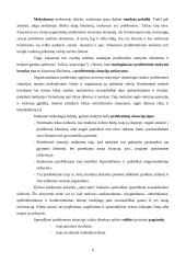 Probleminis mokymas 6 puslapis