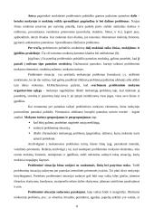 Probleminis mokymas 8 puslapis