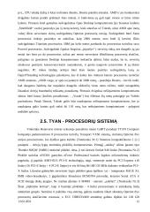 Procesorių palyginimai 12 puslapis