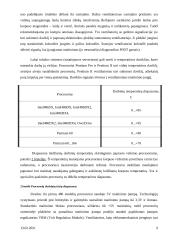 Procesorių palyginimai 9 puslapis