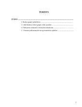 Rizikos grupės vaikų mokymosi sunkumų ypatumai 2 puslapis