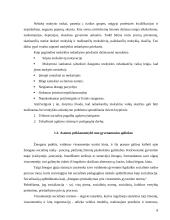 Rizikos grupės vaikų mokymosi sunkumų ypatumai 8 puslapis