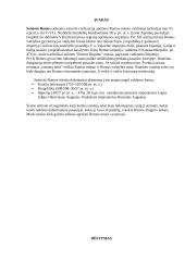 Romėnų teisė skirtingais laikotarpiais 3 puslapis