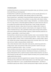 Romėnų teisė skirtingais laikotarpiais 4 puslapis