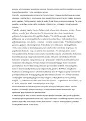 Romėnų teisė skirtingais laikotarpiais 5 puslapis