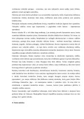 Romėnų teisė skirtingais laikotarpiais 7 puslapis