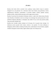 Romėnų teisė skirtingais laikotarpiais 10 puslapis