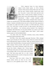 Salomėja Nėris - garsi poetė 3 puslapis