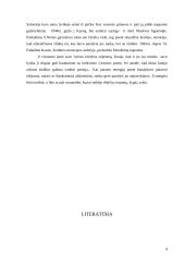 Salomėja Nėris - garsi poetė 4 puslapis