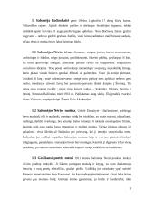 Salomėja Nėris - gyvenimas ir kūryba 3 puslapis