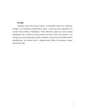 Salomėja Nėris - gyvenimas ir kūryba 7 puslapis