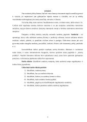 Sandoriai ir sandorių rūšys 2 puslapis