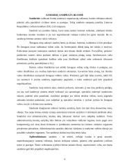 Sandoriai ir sandorių rūšys 3 puslapis