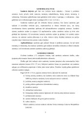 Sandoriai ir sandorių rūšys 4 puslapis