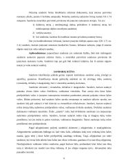 Sandoriai ir sandorių rūšys 5 puslapis