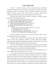 Senovės Egipto teisinė raida bei bruožai 4 puslapis