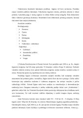 Senovės Egipto teisinė raida bei bruožai 6 puslapis