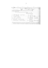 Sintetinių plovimo medžiagų poveikis gamtai 7 puslapis