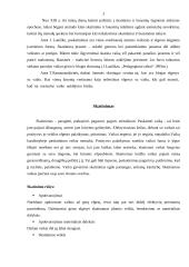 Skatinimas ir bausmės šeimoje 2 puslapis