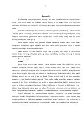 Skatinimas ir bausmės šeimoje 4 puslapis