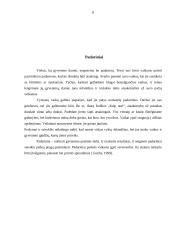 Skatinimas ir bausmės šeimoje 7 puslapis