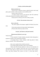 Socialinės apsaugos teisiniai aspektai  pagal Lietuvos I statutą 11 puslapis