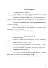 Socialinės apsaugos teisiniai aspektai  pagal Lietuvos I statutą 9 puslapis