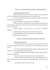 Socialinės apsaugos teisiniai aspektai  pagal Lietuvos I statutą 10 puslapis