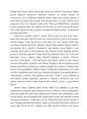 Bitininkystė 4 puslapis