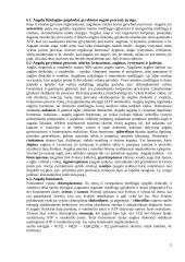 Botanikos pagrindai 5 puslapis