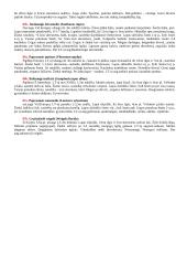 Dendrologijos teorija 3 puslapis
