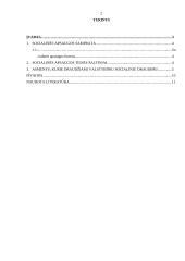 Socialinės garantijos darbuotojams 2 puslapis