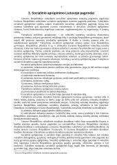 Socialinio aprūpinimo pašalpos, skirtos šeimai remti 4 puslapis