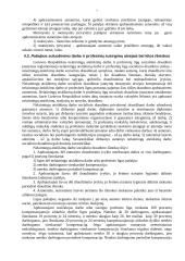 Socialinio aprūpinimo pašalpos, skirtos šeimai remti 7 puslapis