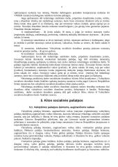 Socialinio aprūpinimo pašalpos, skirtos šeimai remti 8 puslapis