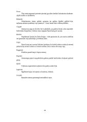 Sodybos želdiniai: vejos sodyboms 12 puslapis