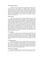 Sodybos želdiniai: vejos sodyboms 4 puslapis