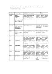 Sodybos želdiniai: vejos sodyboms 8 puslapis