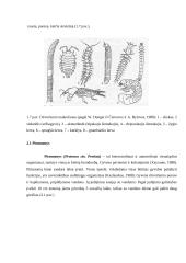 Dirvožemis ir dirvožemio biologija 15 puslapis