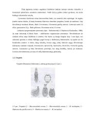 Dirvožemis ir dirvožemio biologija 19 puslapis