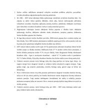 Sodros statistinių duomenų apžvalga 20 puslapis