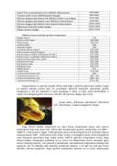 Spalvinė temperatūra 3 puslapis