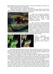 Spalvinė temperatūra 4 puslapis