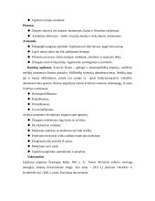 Edukologijos idėjų ištakų apžvalga 3 puslapis