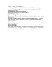 Estetinis auklėjimas 5 puslapis