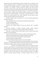 Sprendimų priėmimas: baldų gamyba UAB "Medgilė" 11 puslapis