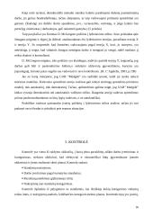 Sprendimų priėmimas: baldų gamyba UAB "Medgilė" 16 puslapis