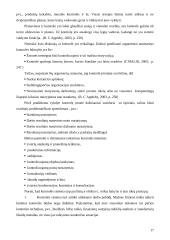 Sprendimų priėmimas: baldų gamyba UAB "Medgilė" 17 puslapis